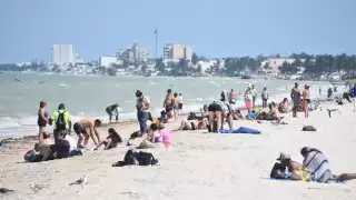 Yucatán destaca por tener playas tranquilas y libres de sargazo