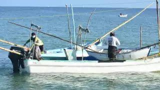 Sector pesquero de Yucatán enfrenta 2026 entre vedas, robos y temor en altamar