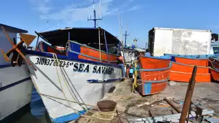 Niños trabajan en congeladoras, o como gavioteros y en reparación de embarcaciones