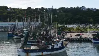 La veda del camarón en Campeche y Quintana Roo se aplazó 21 días por acuerdo entre productores y autoridades.