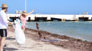El programa contempla labores de aseo en playas y manglares, con sedes distribuidas en el litoral y una amplia convocatoria ciudadana.
