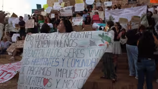 Proyecto inmobiliario en la mira por daño ecológico en litoral yucateco