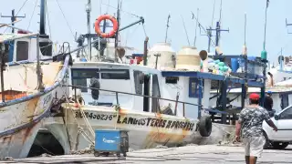 Comienza el arribo de las primeras embarcaciones de la flota mayor que salieron a pescar mero