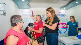 Mérida va por mayor protección animal con reglamento actualizado