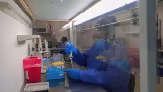 En lo que va de este año se han acumulado siete casos en Quintana Roo