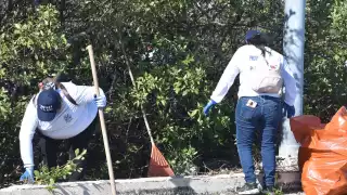 Cada vez hay mayor conciencia entre la población para evitar que la basura sea tirada al aire libre