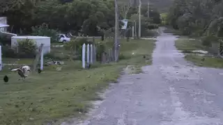 Pobladores de 14 comunidades habían solicitado establecer diálogo con la CFE