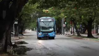 Tres nuevas rutas de Va y Ven se integrarán este viernes 6 de septiembre