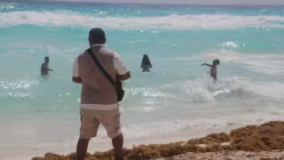 Son 168 toneladas de sargazo las que han recalado a las playas.