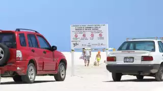 Las personas que lleguen en vehículos a sitios de anidamiento deben acatar las disposiciones