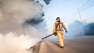 Yucatán registra solo 9 casos de dengue en 2026 mientras el virus avanza en México