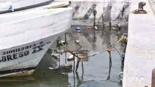 La Caleta de Progreso vuelve a contaminarse; basura y aceite invaden manglares