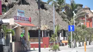 Sectores restauranteros y de comercio advierten sobre la inminente alza en el costo de la cherna