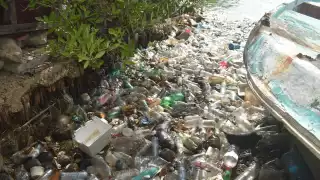 Ubicado entre un terreno privado y la Novena Zona Naval, un vertedero ha permanecido sin atención