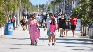 Esperan que el movimiento de viajeros y la derrama económica sea similar o superior a las del 24 y 25 de diciembre en la celebración de Navidad.