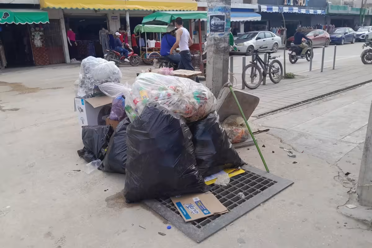 Vecinos denuncian tiradero de basura y olores fétidos en la colonia ...