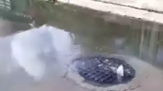 Reportan rebosamiento de aguas negras en colonia Nueva Generación de Chetumal