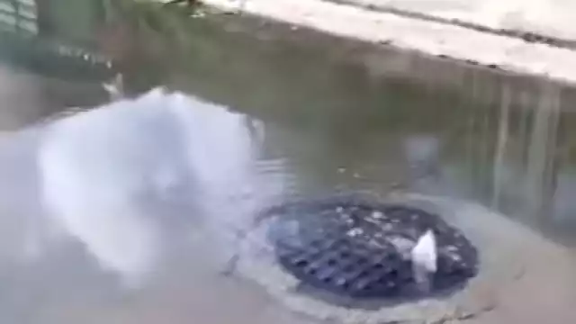 Los afectados han hecho un llamado a CAPA para que lidie con la situación