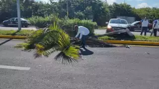 Se desconoce la causa que originó este percance