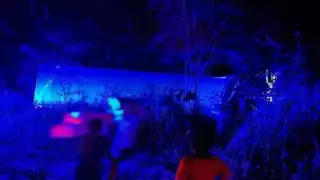 Tras el accidente, algunas personas aprovecharon para robar el producto.