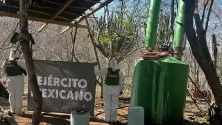 Elementos de la Guardia Nacional y Ejército Mexicano aseguraron un laboratorio clandestino.