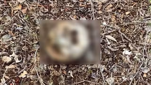 El hallazgo ocurrió cerca del fraccionamiento Plan de Ayala.