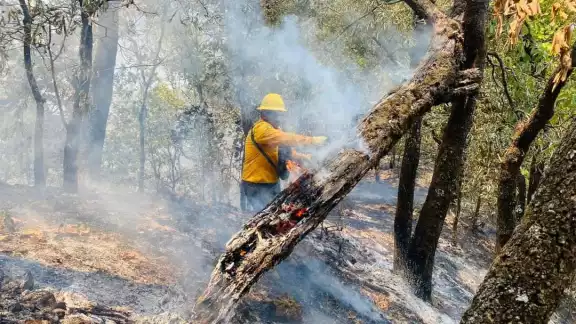 Restan tres incendios por combatir