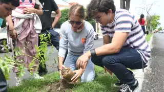 .  El Ayuntamiento de Campeche ha plantado 91 árboles en la avenida López Mateos en julio.