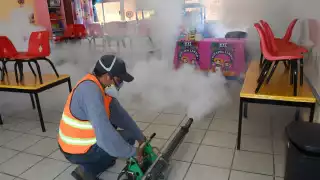 El 56.7% de los casos de dengue en Campeche en 2024 son niños y adolescentes de 0 a 19 años.