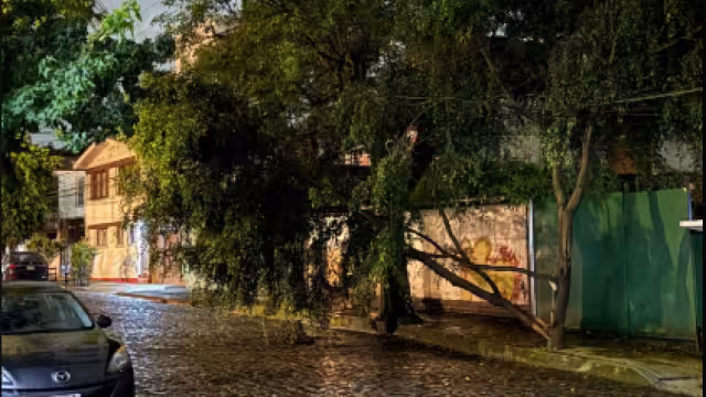 Tormenta en CDMX provoca inundación y caída de un árbol en Coyoacán