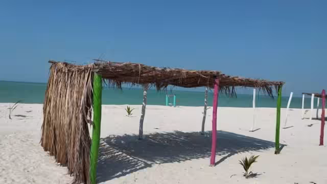 La renta de estos espacios es lucrativo en una comunidad que posee decenas de kilómetros de playa y queda cerca de Ciudad del Carmen.