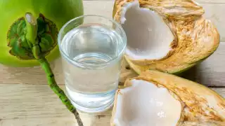 Festival del Coco en Progreso: Conoce los horarios, sede y actividades