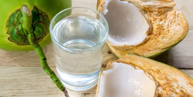 El Festival del Coco se realizará en el malecón de Progreso