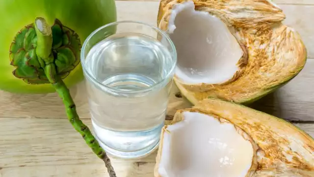 El Festival del Coco se realizará en el malecón de Progreso