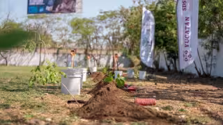 Impulsan el "Renacimiento Verde en tu Escuela" para mitigar el calor en el Sur de Mérida