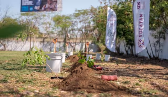 Inicia programa "Renacimiento Verde en tu Escuela" en el sur de Mérida