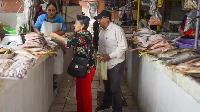 El mero subirá de 200 a 220 pesos por kilogramo en Yucatán