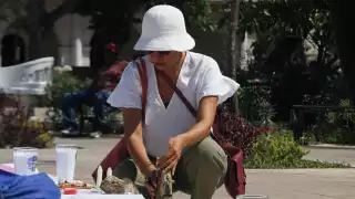Integrantes de colectivos y organizaciones en Yucatán se sumaron al luto nacional tras el hallazgo de un campo de exterminio en Jalisco