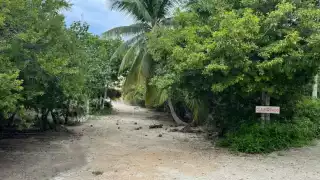 Casa Sisal y la del Sol, así como el inmueble de Víctor Paré, son hoteles y centros de hospedaje