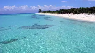 La Playa Paraíso es considerada como una de las más hermosas de Playa del Carmen