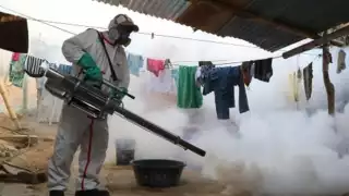 Casos de dengue en México aumentan 385% y muertes se quintuplican