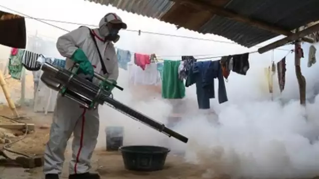 Casos de dengue se han incrementado 385% en México en lo que va del 2024