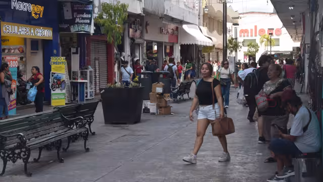 Actualmente, 10 jóvenes trabajan en el levantamiento de encuestas y análisis del entorno