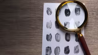 El dolor permanente en Yucatán: más de 600 menores desaparecidos y cuatro Alertas Amber en una semana