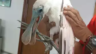 Vecinos piden seguridad y Policía responde con retén nocturno