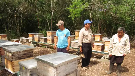El director de Ecosur dice que el ecocidio deja una huella invaluable y que la ciencia debe intervenir El director de Ecosur dice que el ecocidio deja una huella invaluable y que la ciencia debe intervenir