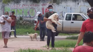 Alexandro Brown pide apoyo de la Iglesia contra uso de pirotecnia