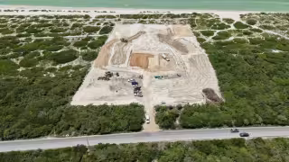 Profepa clausura megaproyecto turístico en Chuburná por daño a especies en peligro de extinción