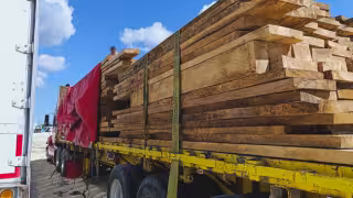 La Procuraduría Federal de Protección al Ambiente aseguró un tractocamión con madera de pucté en Campeche.