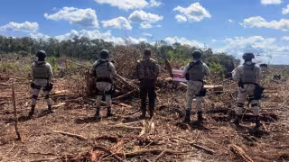 Operativos ambientales dejan cateos, clausuras y decomisos forestales en Campeche